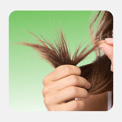 Damaged Hair Repair