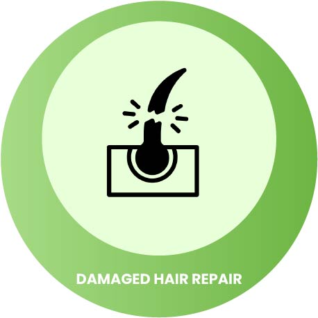 Damaged Hair Repair