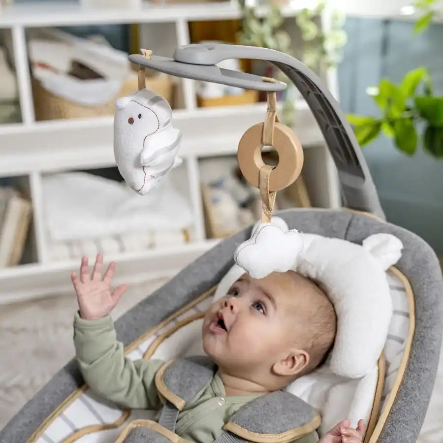 Buy Ingenuity Rocking Seat Bella Teddy Online at Best prices in Qatar ...