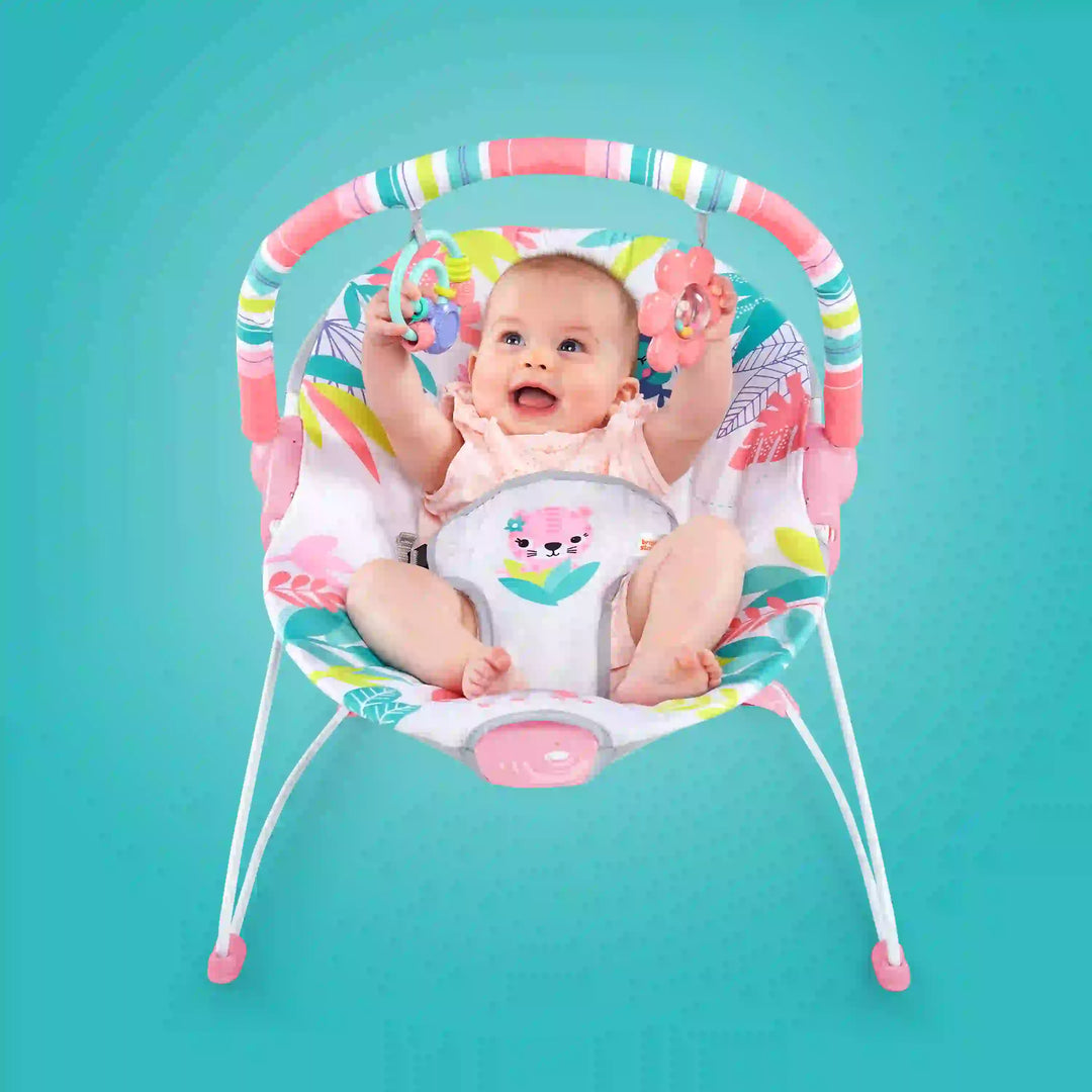Flamingo Vibes Vibrating Bouncer