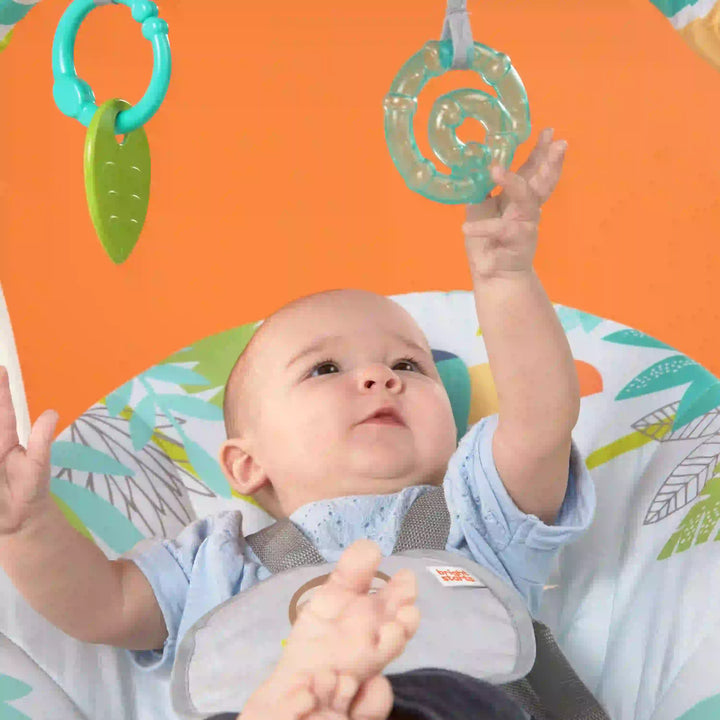 Rainforest Vibes Portable Swing