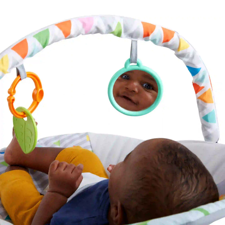 Safari Fun Vibrating Bouncer