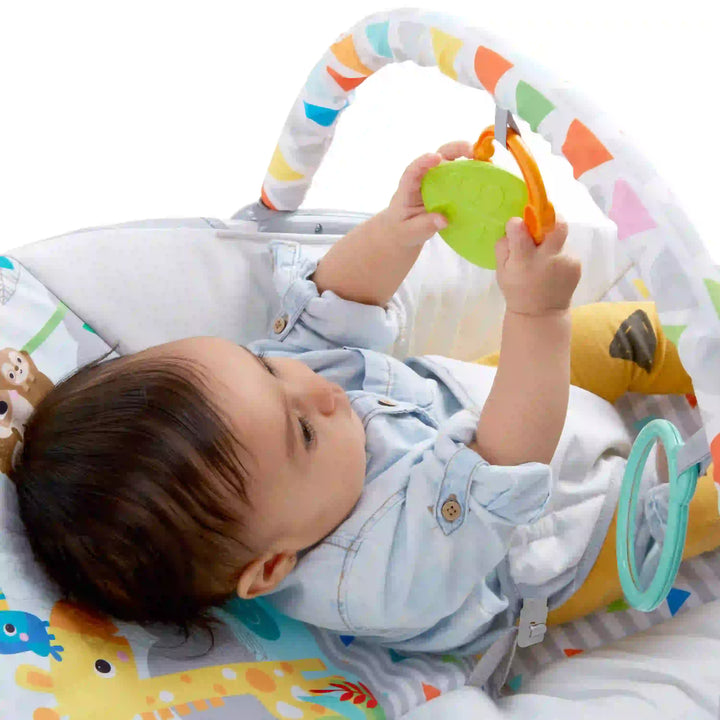 Safari Fun Vibrating Bouncer