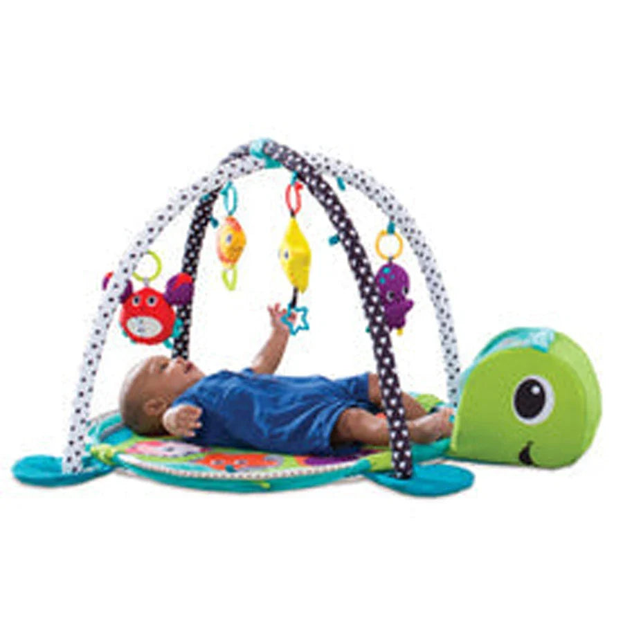 Buy Infantino Grow-With-Me Activity Gym Ball Pit Online at