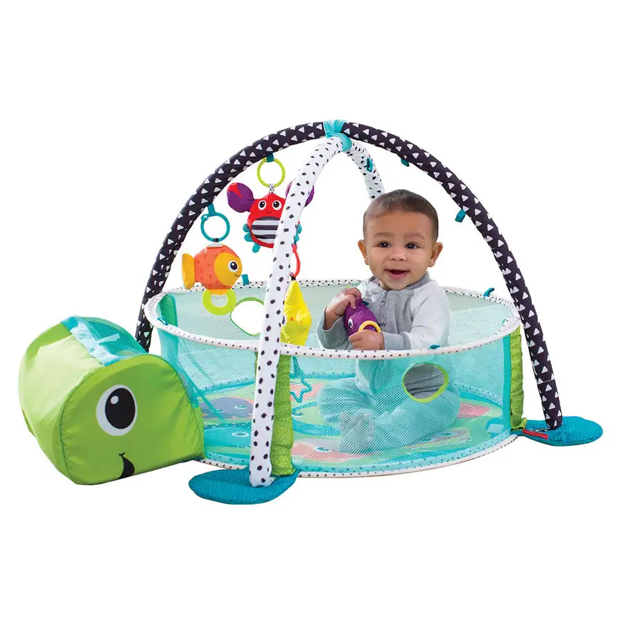 Buy Infantino Grow-With-Me Activity Gym Ball Pit Online at