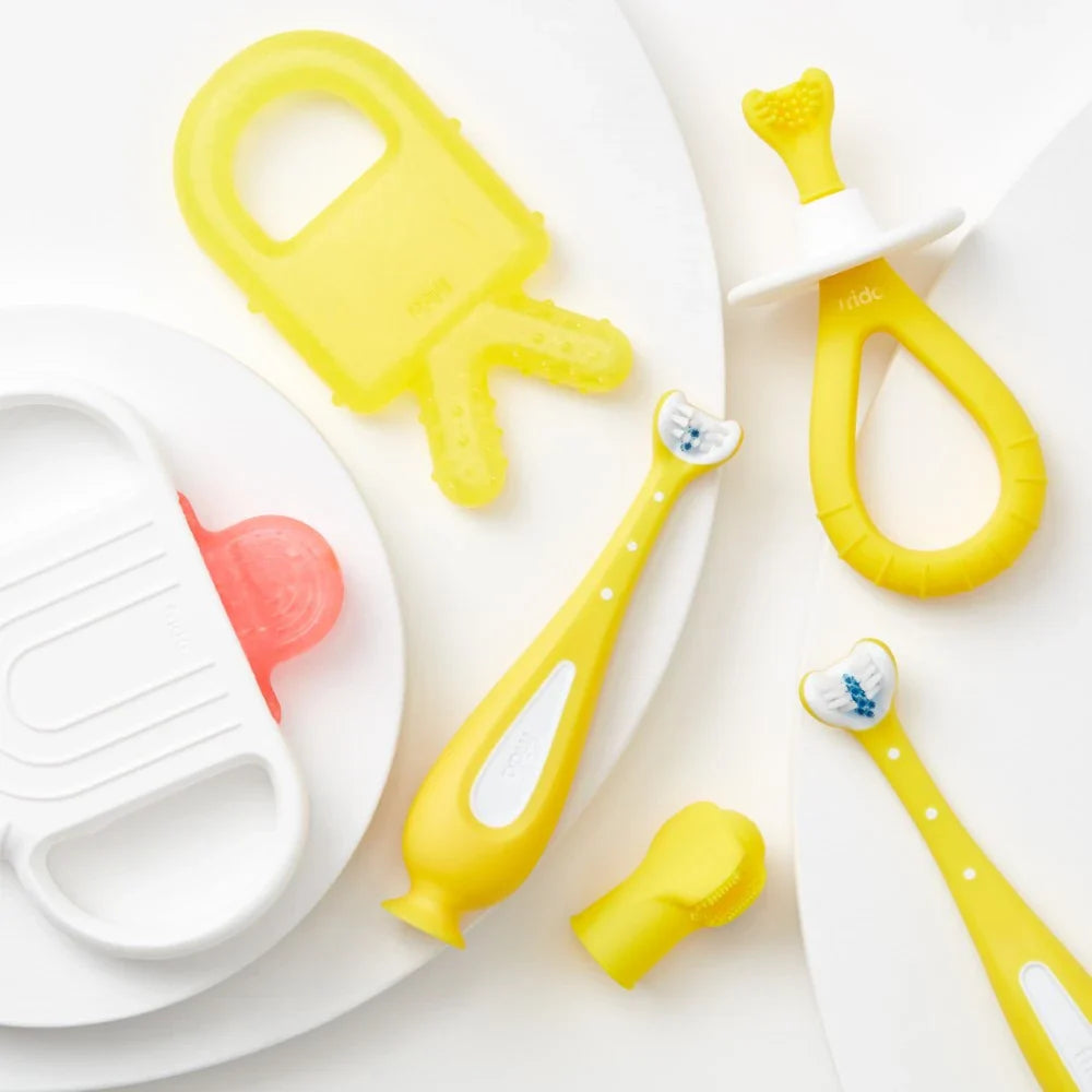 فريدا بيبي فرشاة أسنان تدريبية للأطفال مع شعيرات سيليكون ناعمة فريدا بيبي فرشاة أسنان تدريبية للأطفال مع شعيرات سيليكون ناعمة