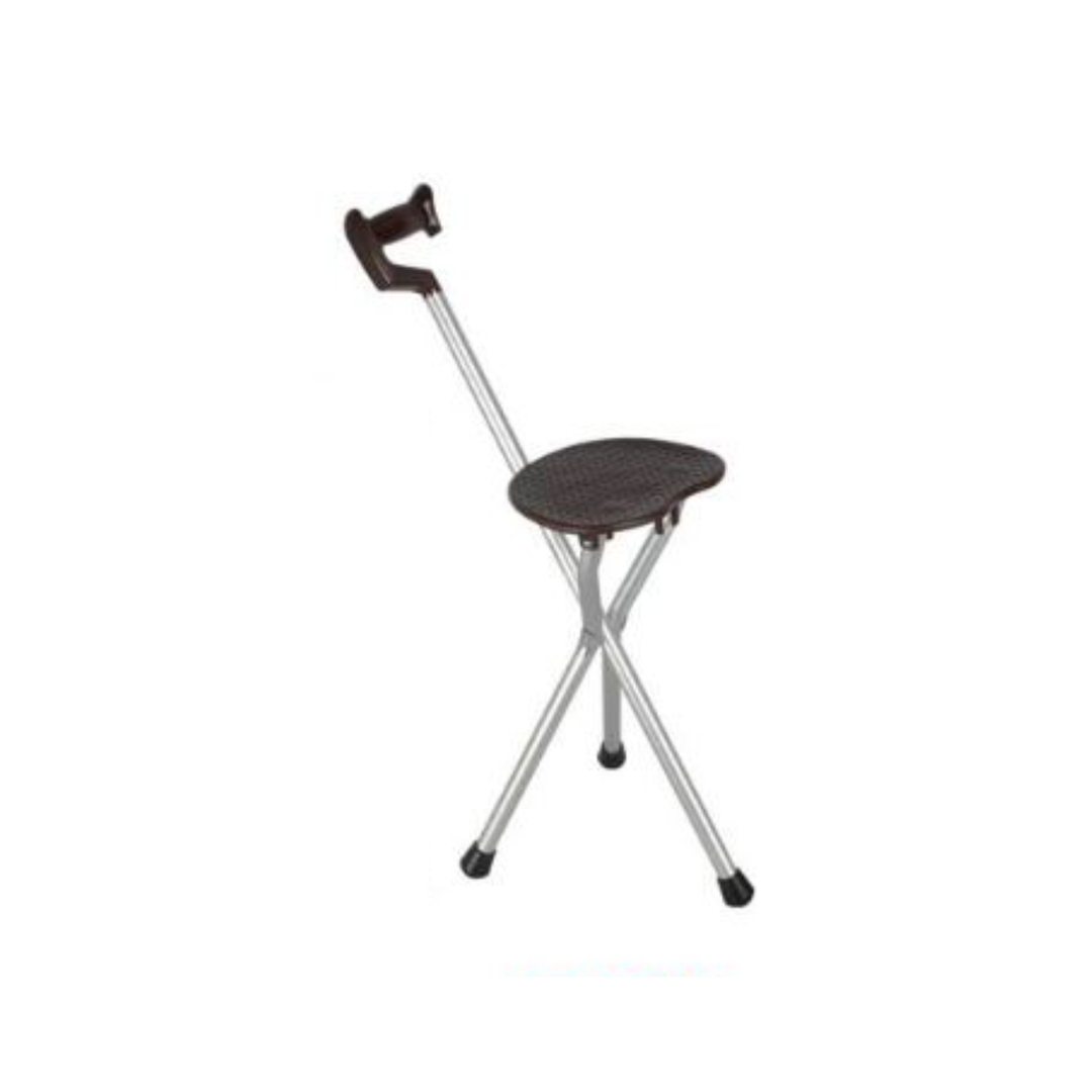 Escort Walking Stick