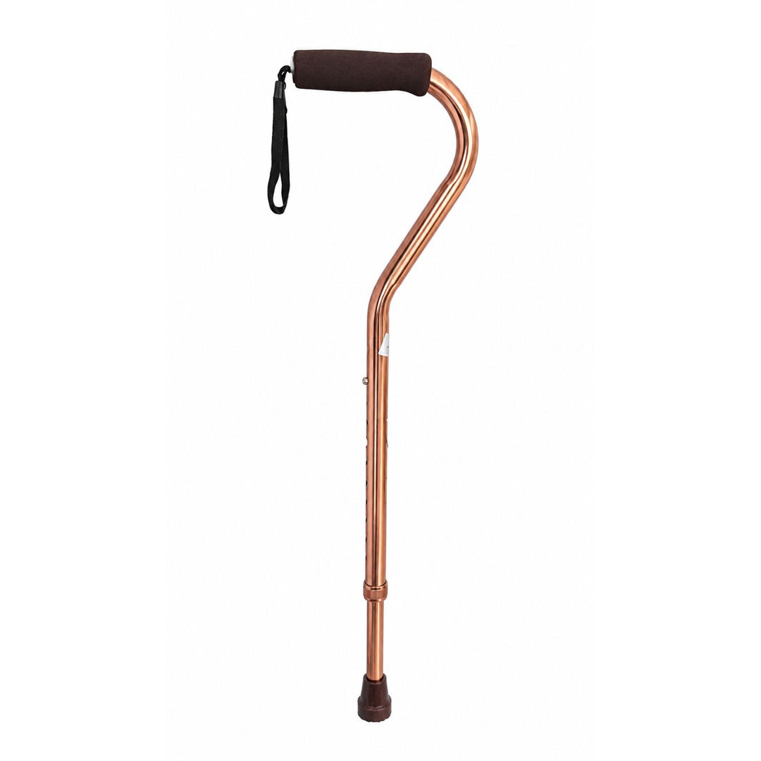 Escort Walking Stick