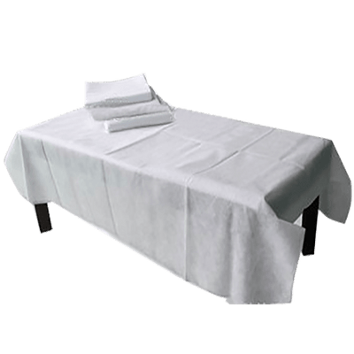 Medica Non-Woven Bed Sheet 10's