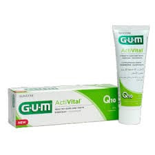 Gum Activital Fresh Mint T/P 75ml